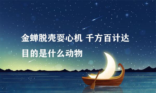 金蝉脱壳耍心机 千方百计达目的是什么动物
