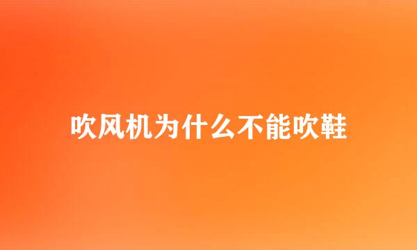 吹风机为什么不能吹鞋