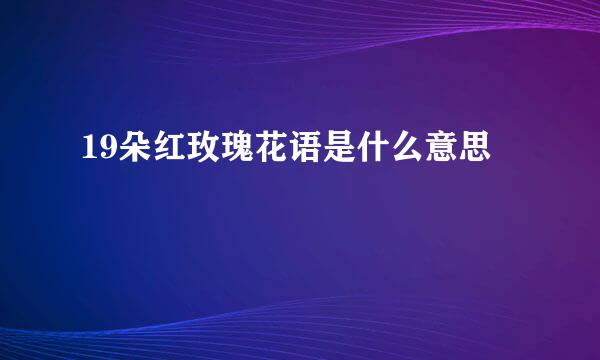 19朵红玫瑰花语是什么意思