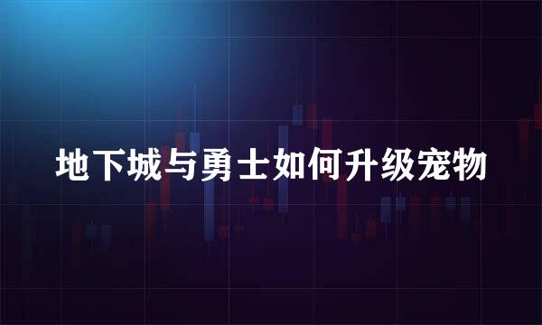 地下城与勇士如何升级宠物