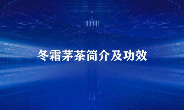冬霜茅茶简介及功效