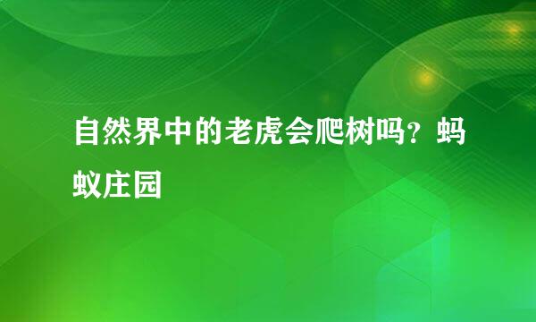 自然界中的老虎会爬树吗？蚂蚁庄园
