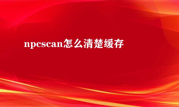 npcscan怎么清楚缓存