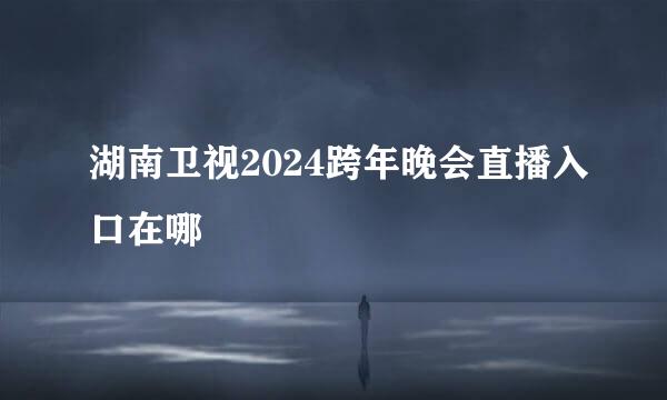 湖南卫视2024跨年晚会直播入口在哪