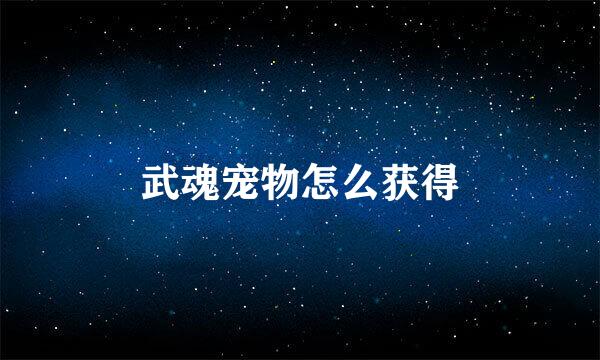 武魂宠物怎么获得
