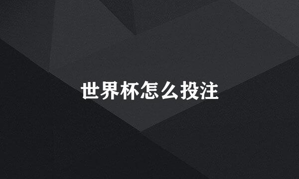 世界杯怎么投注