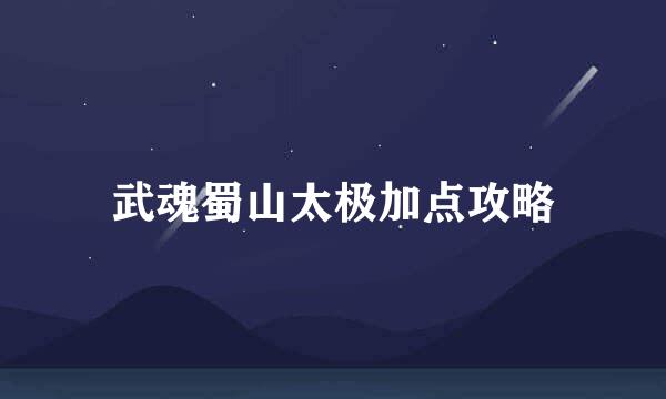 武魂蜀山太极加点攻略
