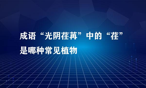成语“光阴荏苒”中的“荏”是哪种常见植物