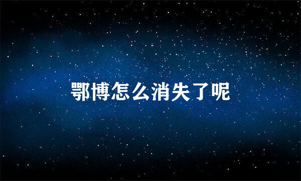 鄂博怎么消失了呢