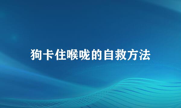 狗卡住喉咙的自救方法