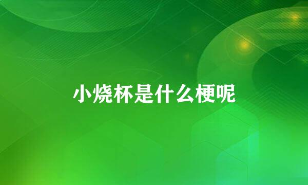 小烧杯是什么梗呢