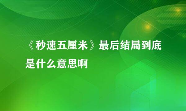 《秒速五厘米》最后结局到底是什么意思啊