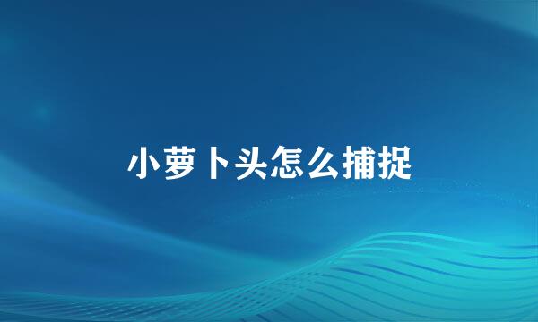 小萝卜头怎么捕捉