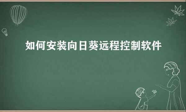 如何安装向日葵远程控制软件