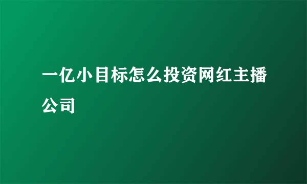 一亿小目标怎么投资网红主播公司
