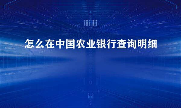 怎么在中国农业银行查询明细