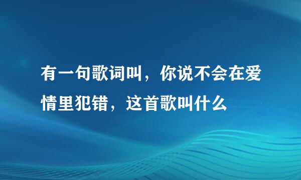 有一句歌词叫，你说不会在爱情里犯错，这首歌叫什么
