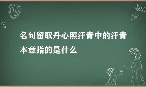 名句留取丹心照汗青中的汗青本意指的是什么