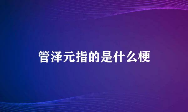 管泽元指的是什么梗