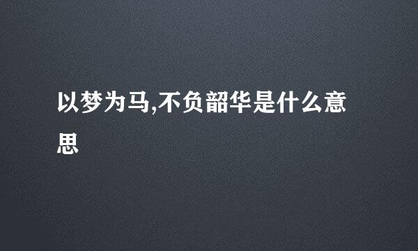 以梦为马,不负韶华是什么意思