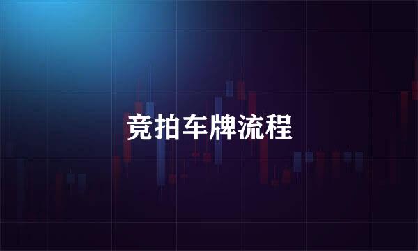 竞拍车牌流程