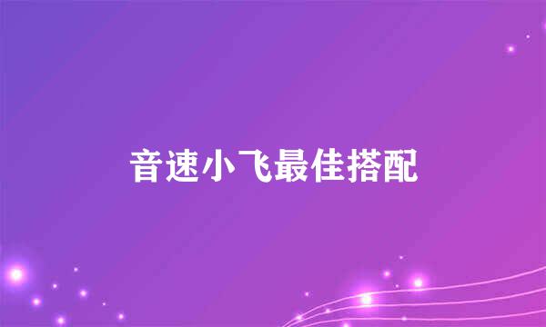 音速小飞最佳搭配