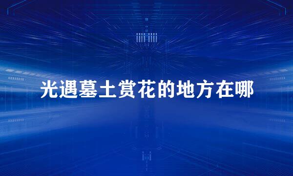 光遇墓土赏花的地方在哪