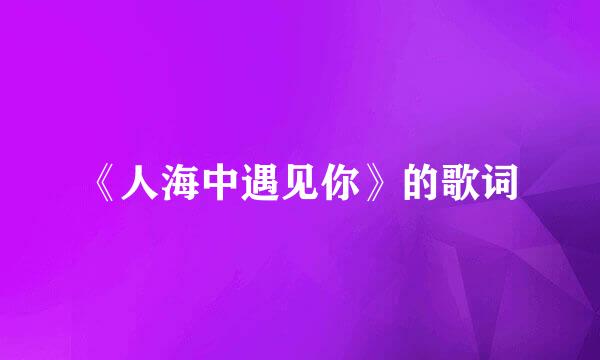 《人海中遇见你》的歌词