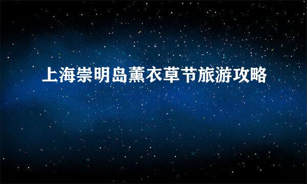 上海崇明岛薰衣草节旅游攻略