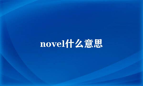 novel什么意思