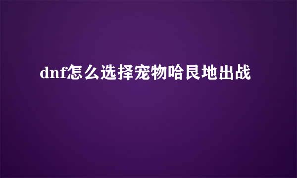 dnf怎么选择宠物哈艮地出战