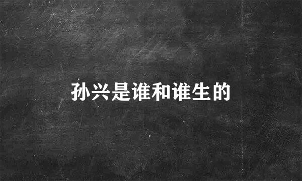 孙兴是谁和谁生的