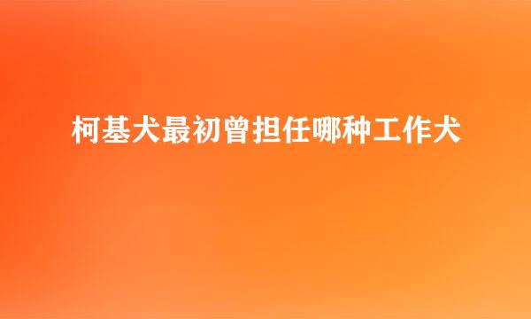 柯基犬最初曾担任哪种工作犬