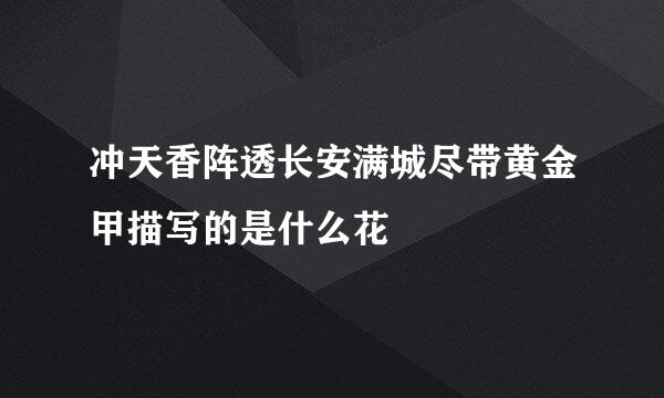 冲天香阵透长安满城尽带黄金甲描写的是什么花