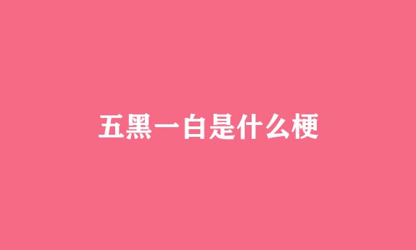 五黑一白是什么梗