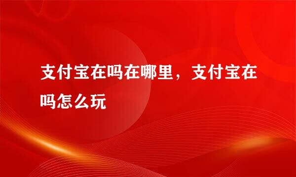 支付宝在吗在哪里,支付宝在吗怎么玩