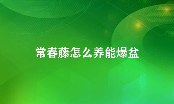 常春藤怎么养能爆盆