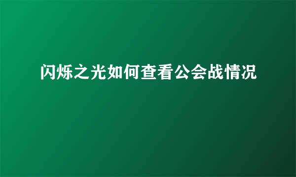 闪烁之光如何查看公会战情况