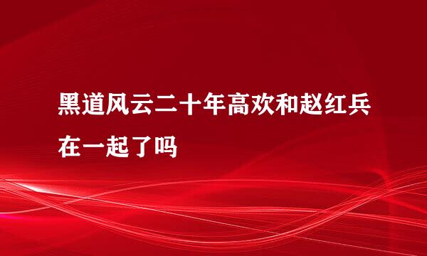 黑道风云二十年高欢和赵红兵在一起了吗