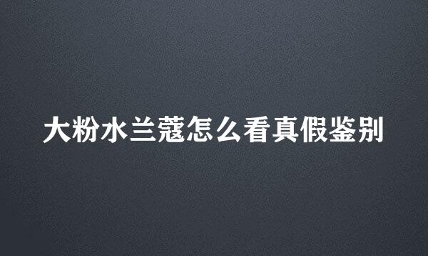 大粉水兰蔻怎么看真假鉴别
