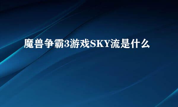 魔兽争霸3游戏SKY流是什么