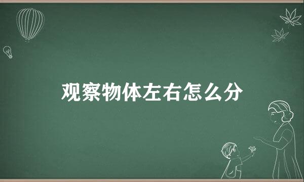 观察物体左右怎么分