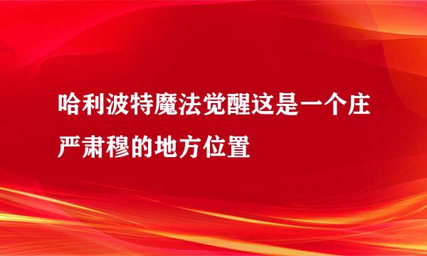 哈利波特魔法觉醒这是一个庄严肃穆的地方位置