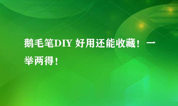 鹅毛笔DIY 好用还能收藏!一举两得!