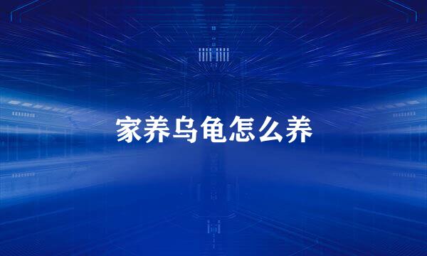 家养乌龟怎么养