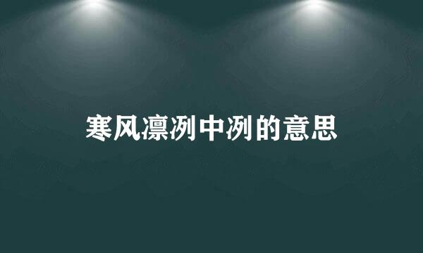 寒风凛冽中冽的意思