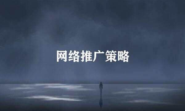 网络推广策略
