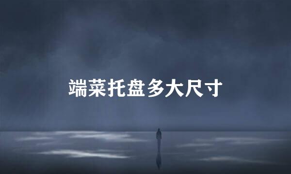 端菜托盘多大尺寸
