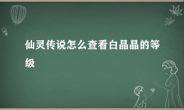 仙灵传说怎么查看白晶晶的等级