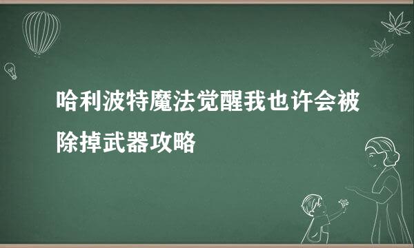 哈利波特魔法觉醒我也许会被除掉武器攻略